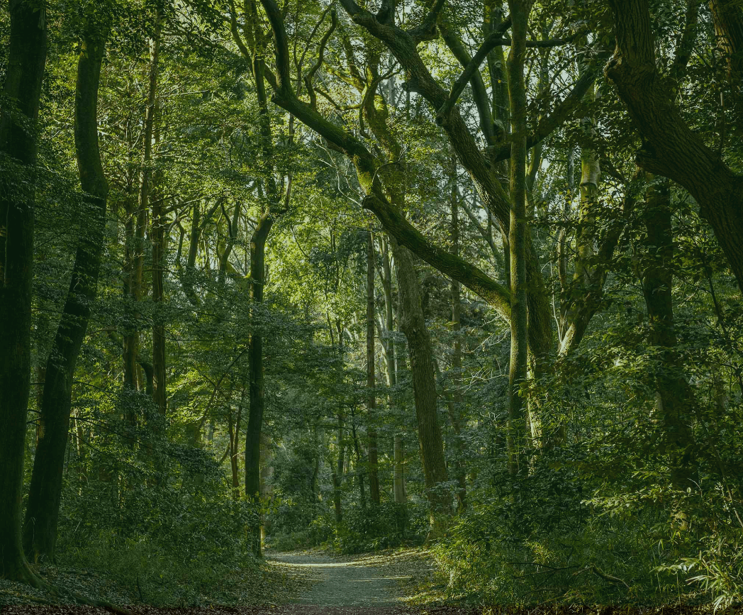 EDME Lacroix - Fabricant manche en bois